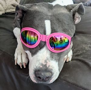 Meet your Posher, Ellen